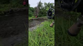 Fly Fishing for Salmon in Alaska shorts shortsfeed youtubeshorts shortsvideo alaska fishing [upl. by Attiuqram]