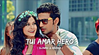 Tui Amar Hero Slowed Reverb bangla lofi song❣️bangla romantic lofi song🌷bangla new lofi son [upl. by Oberg]