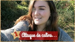 Attaque de câlins   VLOGMAS 1 [upl. by Arnaldo]