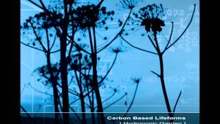 Carbon Based Lifeforms  Hydroponic Garden Full Reissued Album [upl. by Iatnohs386]