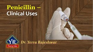 Penicillin  Clinical Uses  Clinical uses of Penicillins  YR Pharma Tube  Dr Yerra Rajeshwar [upl. by Arabeila703]