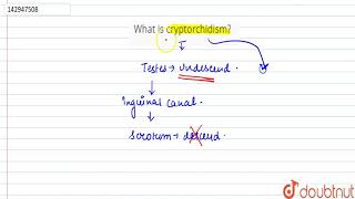 What is cryptorchidism [upl. by Einad]