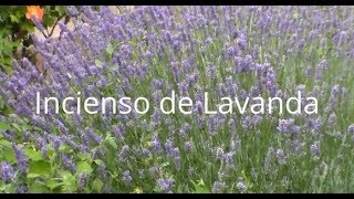 Cómo hacer INCIENSO de LAVANDA Tutorial [upl. by Anorahs]