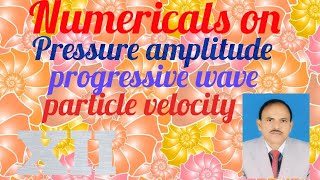 Numericals on pressure amplitude particle velocity and progressive waves XII  physics rnt [upl. by Atiken5]