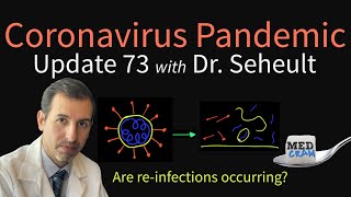 Coronavirus Pandemic Update 73 Relapse Reinfections amp RePositives  The Likely Explanation [upl. by Strain]