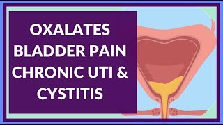 How Oxalates Can Cause Chronic UTI Interstitial Cystitis amp Bladder Irritation [upl. by Leahkim]