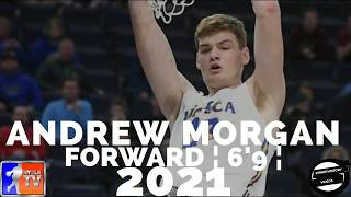 Andrew Morgan  2021  Waseca  Forward  Highlights vs Fairmont [upl. by Monaco]