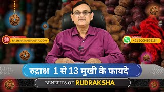 Benefits of 1 Mukhi to 13 Mukhi Rudraksha अद्भुत फायदे  किस समस्या के लिए कौन सा रुद्राक्ष धारण करे [upl. by Inasah]