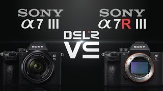 Sony alpha a7 III vs Sony alpha a7R III [upl. by Dolphin]