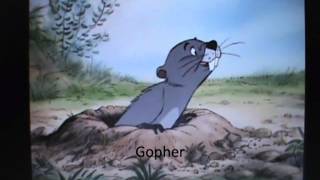 Gopher Audition for LongLiveTheLionKing [upl. by Ahsinam]