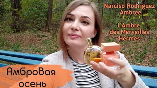 Влогобзор двух амбр☀️ Narciso Rodriguez Eau de Parfum Ambrée  LAmbre des Merveilles Hermes [upl. by Adnarahs]