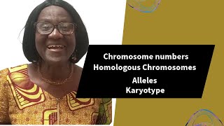 Chromosome Numbers Homologous Chromosomes Alleles [upl. by Tench336]