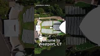 Living in Westport CT [upl. by Fariss]