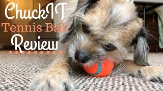 ChuckIt Tennis Ball REVIEW [upl. by Lisette]