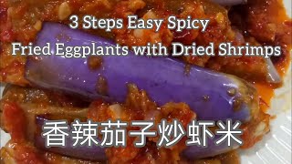 How to Cook Spicy Eggplant🍆Balado style w Dried Shrimps香辣茄子炒虾米Terungamp Ebi Masak Pedas ala Balado [upl. by Intisar709]