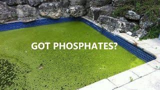 Phosphates In Pool Water [upl. by Nialb964]