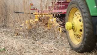 1403 Horning 3 Row Independent Corn Head  Miscanthus Grass Pt 2 [upl. by Jandy]