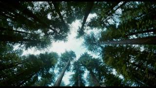 The Tree Of Life  trailer B 2011 Brad Pitt Sean Penn [upl. by Wobniar]