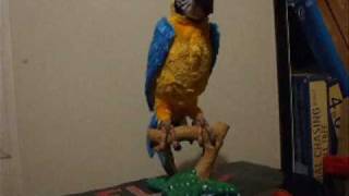 Squakers McCaw Robot Parrot [upl. by Irrol]