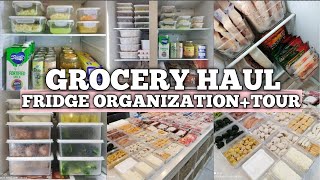 Grocery Haul  Refrigerator Restocking amp Organization Ideas  Ref Tour  Lorelin Sia [upl. by Anitaf]