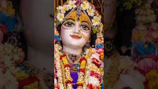 Mai To Aae Brindavan Dhan 🌹🙏💖radhakrishna youtubeshorts [upl. by Aroled190]