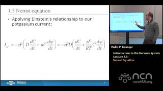 nanoHUBU Bioelectricity L15 The Nervous System  Nernst Equation [upl. by Suellen]