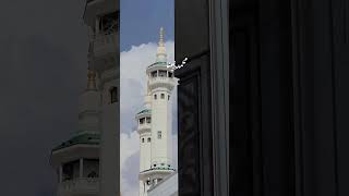 محمد نبينا بنوره هادينا❤️❤️❤️❤️❤️ islamicvideo reminder quran islamicstatus shotsvideo shorts [upl. by Lira]