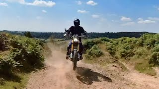 Triumph 1200 Scrambler vs Honda CRF250 Rally [upl. by Nagorb]