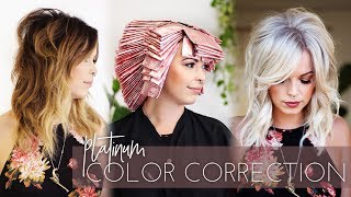 Platinum Blonde Color Correction  Brunette to White in one Appointment Full Technique [upl. by Pepi24]