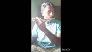 Mayil Pola ponnu onnu  Bhavatharini song  illayaraja music  flute song [upl. by Guyer]