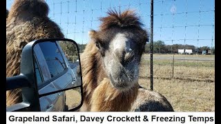 Grapeland amp Crockett TX  Safari Davey Crockett amp Freezing Temps  Full Time RV Living amp Travel [upl. by Asamot]