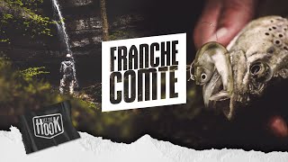 FRANCHE COMTÉ  Pêche de la truite aux leurres [upl. by Llenrup57]