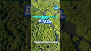 Interesting Facts About Brazil [upl. by Ecnarretal208]