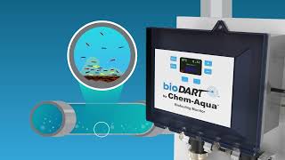 bioDART Biofouling Monitor [upl. by Leontine]