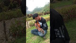 Fourtwnty  Aku tenang Cover menyatu dengan alam [upl. by Wildon]