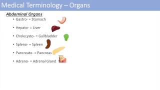 Medical Terminology  The Basics  Lesson 1 [upl. by Nosille]