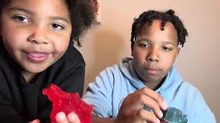 Gummy bear challenge [upl. by Fernando]