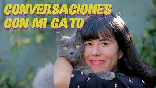 Conversaciones Con Mi Gato [upl. by Alyaj]