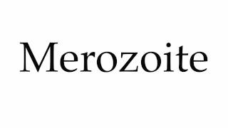 How to Pronounce Merozoite [upl. by Ecirtal]