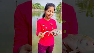 মাছটা এইভাবে মারা গেলো😢 viralvideo fishing village youtubeshorts vilage shorts [upl. by Notsag76]