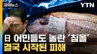 자막뉴스 中 수입금지 이 정도였다니다급해진 일본 결국  YTN [upl. by Dumas]