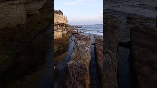 Winter in Bondi Beach australia travel [upl. by Gurolinick]