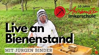 Live an Bienenstand mit Jürgen Binder [upl. by Ahseele]