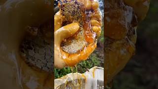 Epic Honeycomb Uncapping 🍯  The Ultimate Oddly Satisfying Experience trending shorts satisfying [upl. by Nordna]