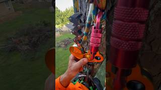 Petzl zigzag running ddrt youtubeshorts [upl. by Anesor]