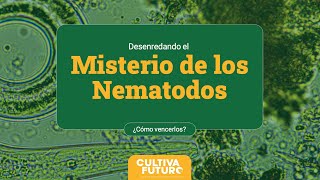 Desenredando el Misterio de los NEMATODOS ¿Cómo vencerlos [upl. by Eetnom]