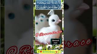 Ayat Kareema  Solve all your problems usingAyat E Kareema  Reciting 1500 timespeacock rewardrace [upl. by Adnawahs852]