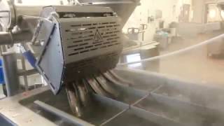 6Way Waterwheel with Guillotine  Havantec Food Equipment [upl. by Ailem]