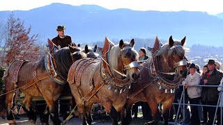 Leonhardifahrt Bad Tölz isarkai  Fest in Bavaria  Festivals in Germany Europe  Janu German [upl. by Rebmyk168]