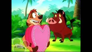 Timon and Pumbaa Episode 60 A  Timon in Love [upl. by Ynobe]